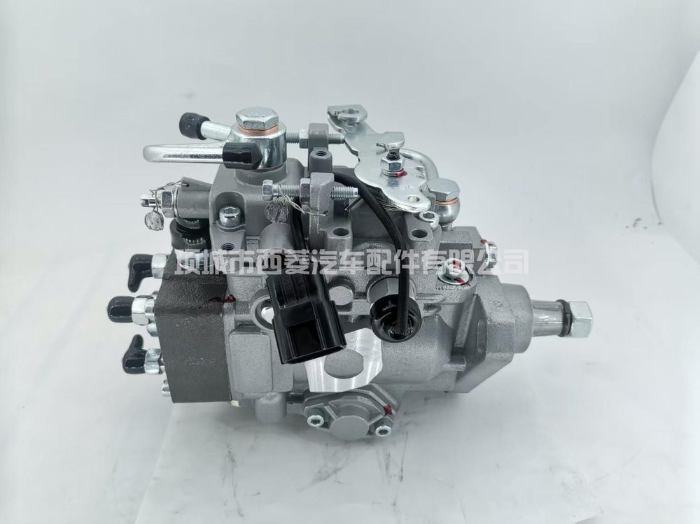 Fuel Injection Pump 0002070020 view 2