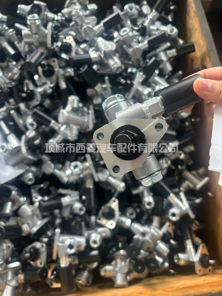 Priming Pump 0440008068