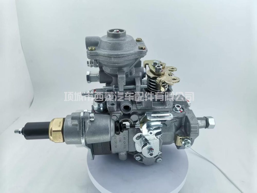 Fuel Injection Pump 0460424519