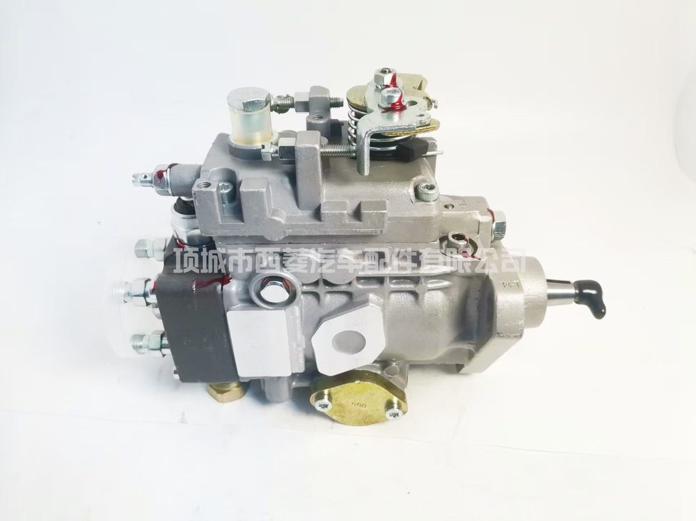 Fuel Injection Pump 0460484054