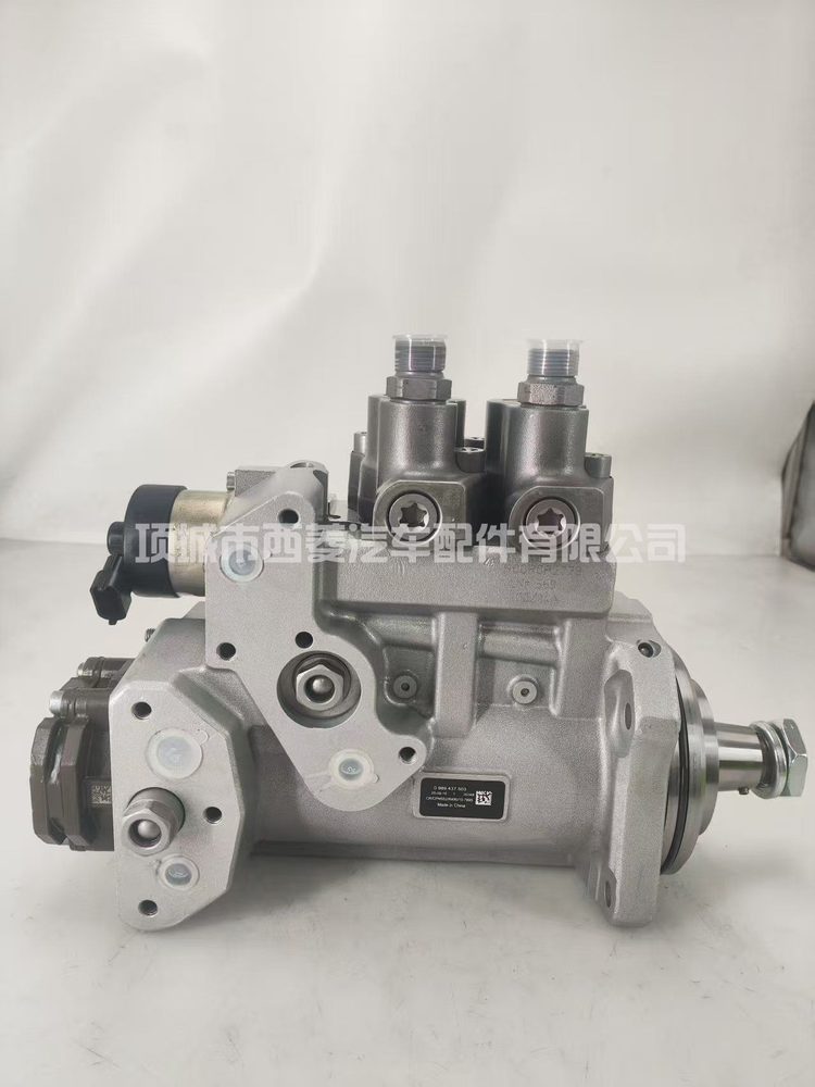 Fuel Injection Pump 0986437507