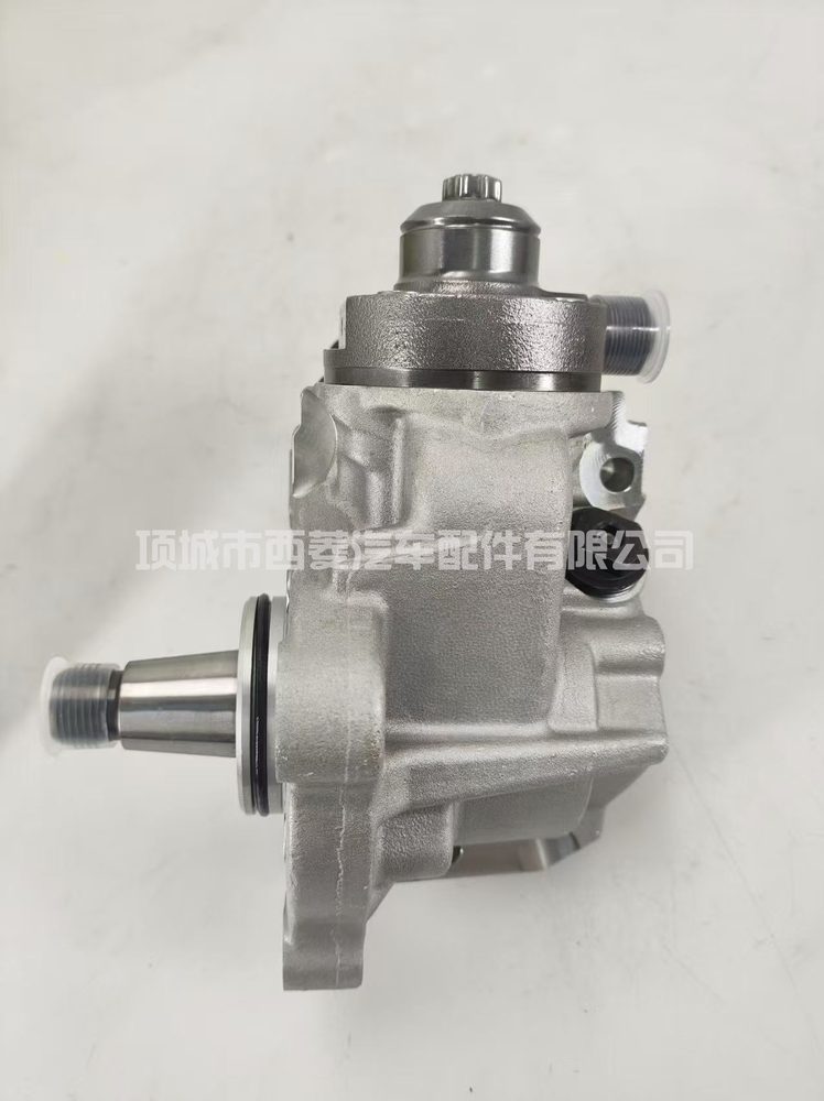 Fuel Injection Pump 10001470