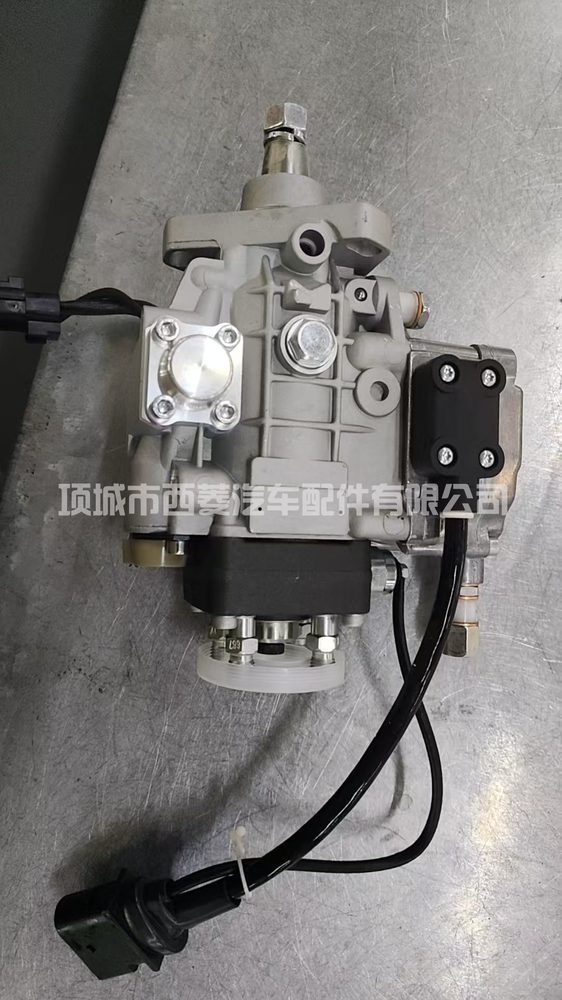Fuel Injection Pump 1001230123