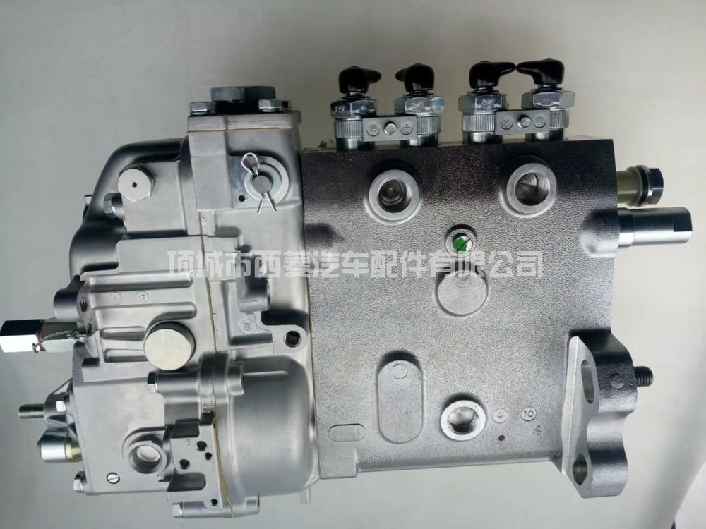 Fuel Injection Pump 1014953414