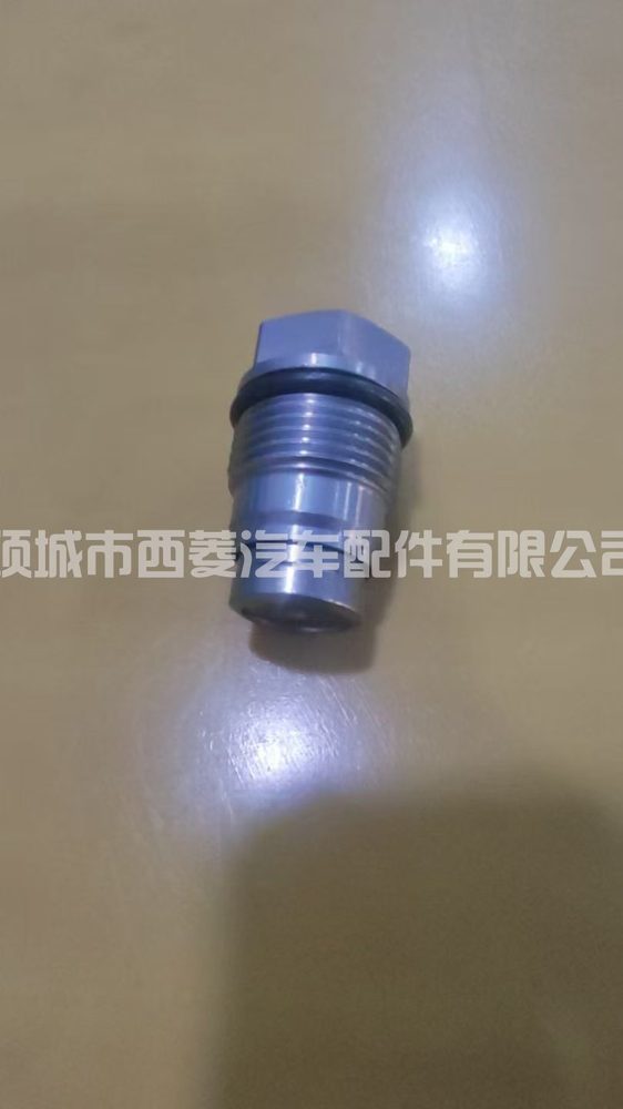 Fuel Injection Part 1110010017