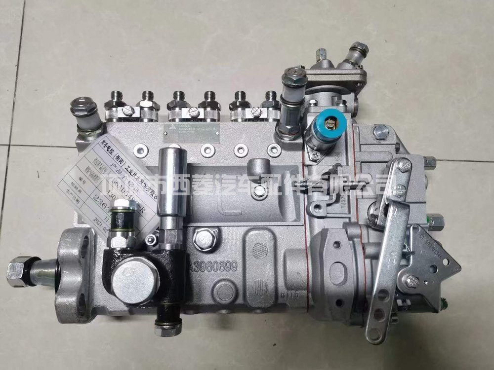Fuel Injection Pump 13053063