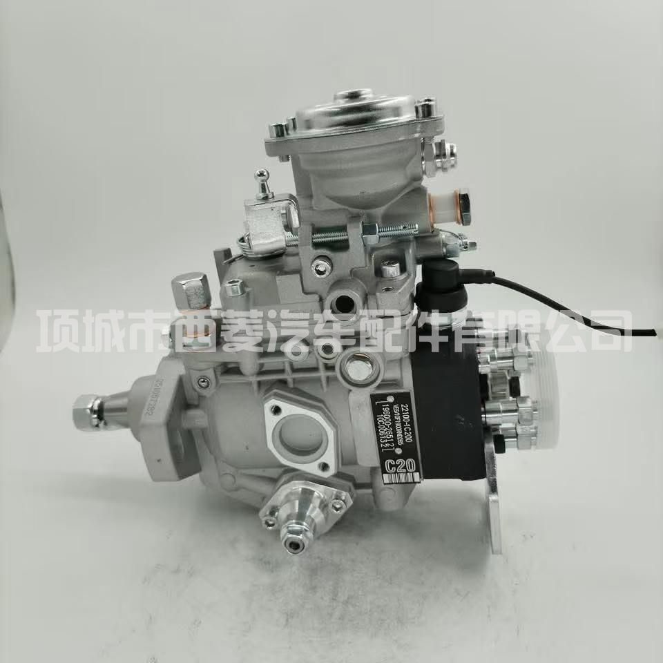 Fuel Injection Pump 22100-1C200