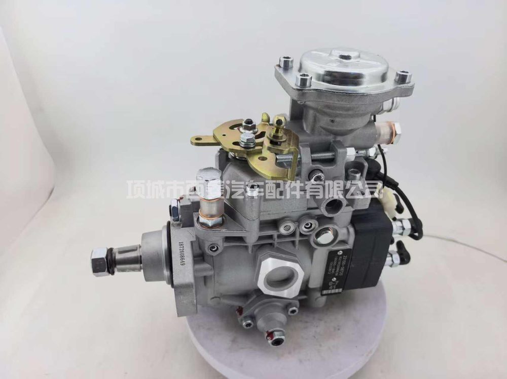 Fuel Injection Pump 22100-5B720