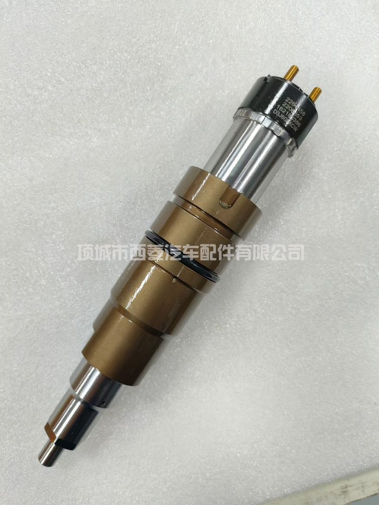 Common Rail Injector 2482244