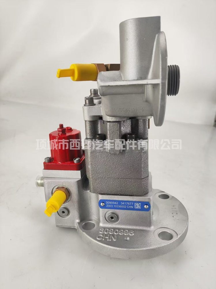 Fuel Injection Pump 3090942