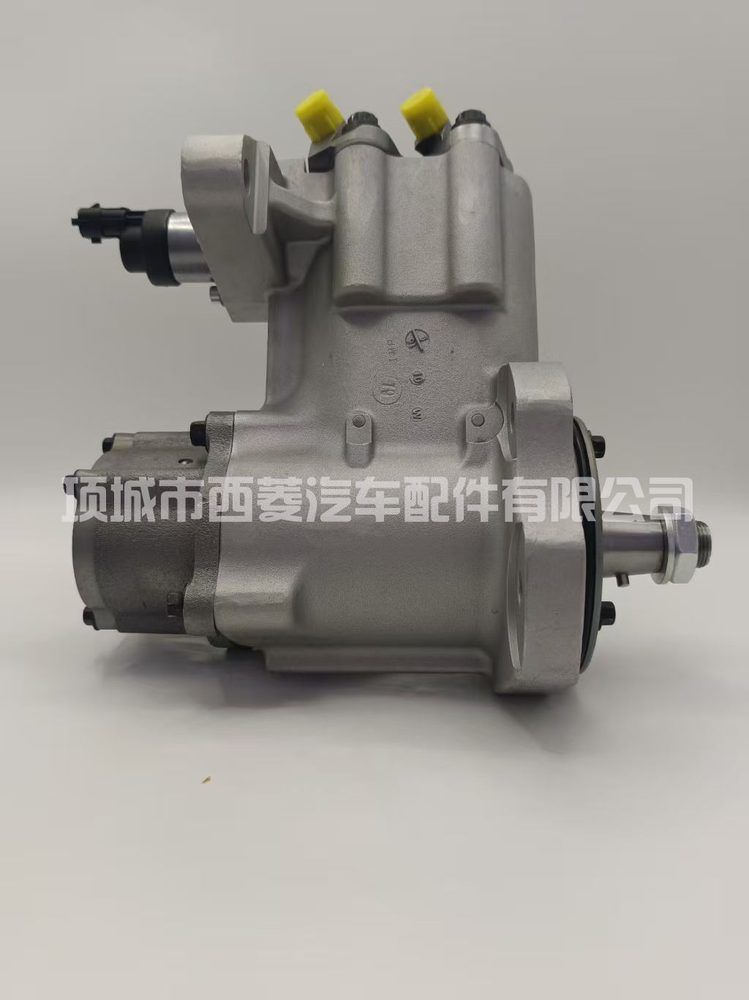 Fuel Injection Pump 4306945