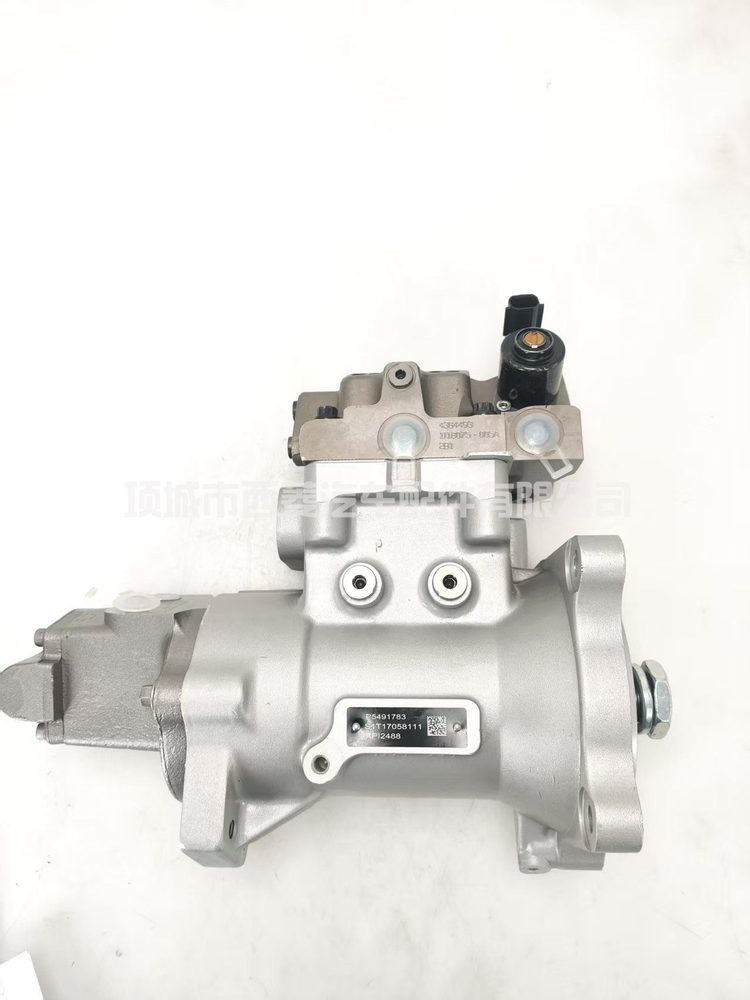 Fuel Injection Pump 5491787