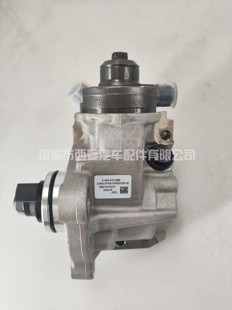 Fuel Injection Pump 580152470