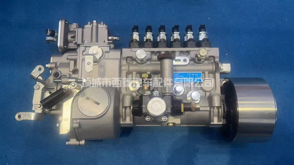 Fuel Injection Pump 9700360638