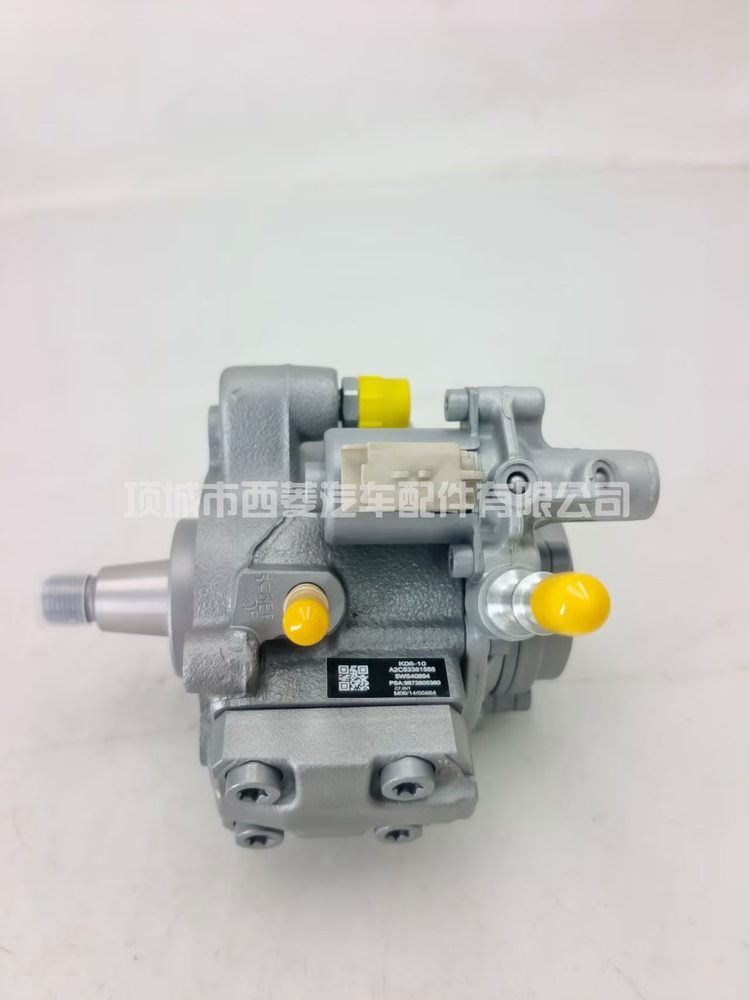 Fuel Injection Pump A2C53381555