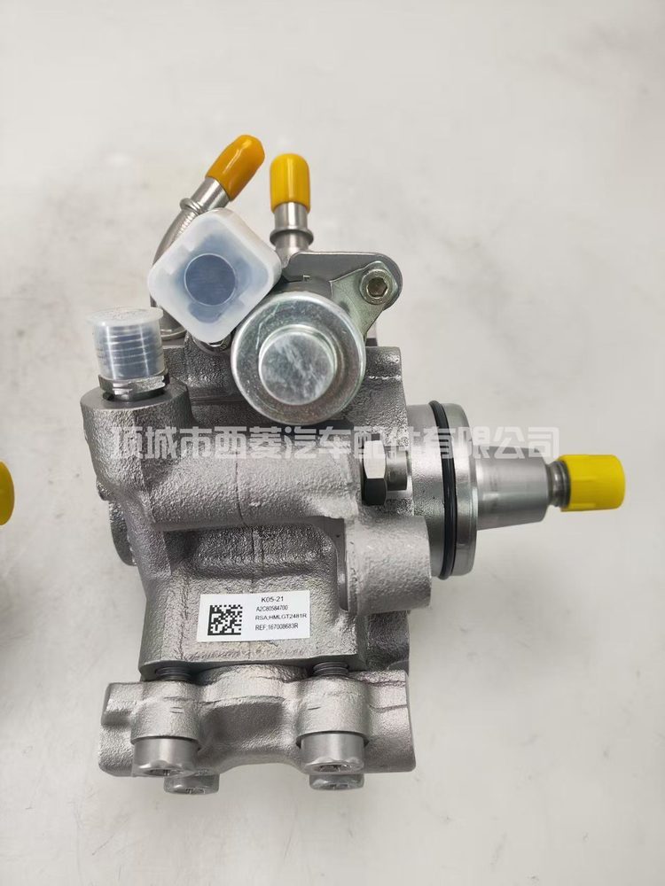 Fuel Injection Pump A2C80584700