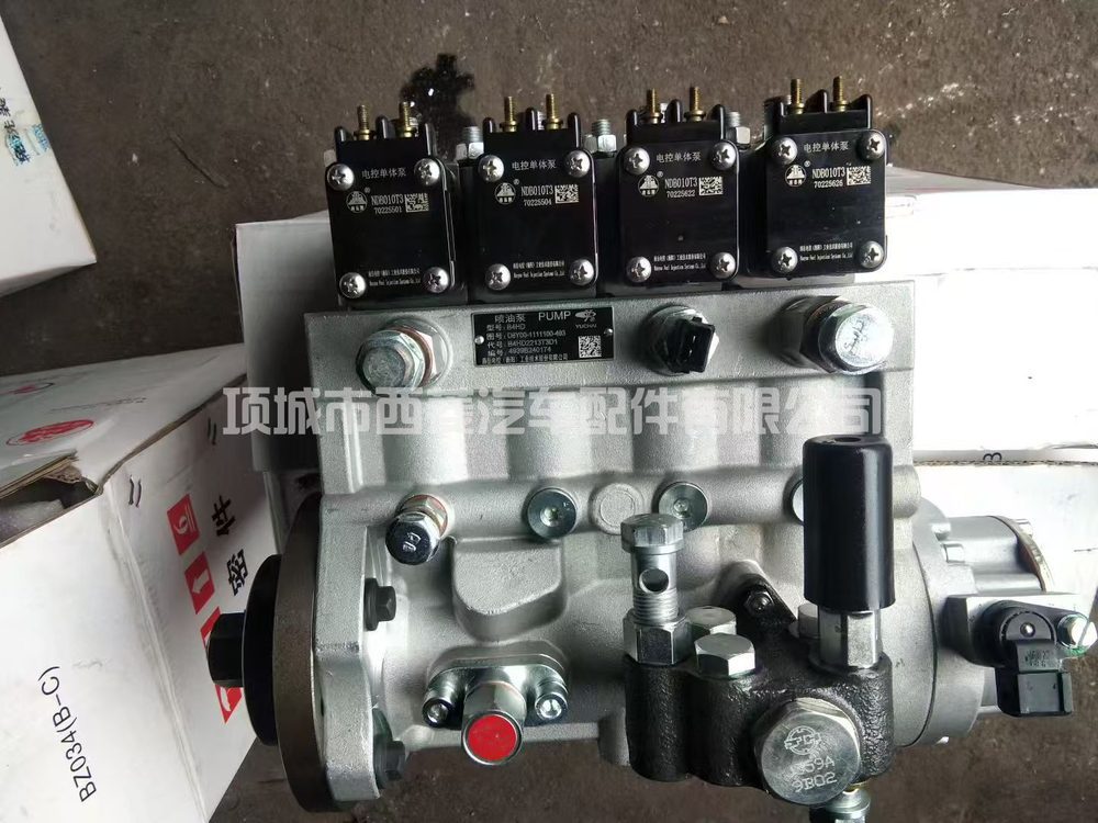 Fuel Injection Pump B4HD2213A3