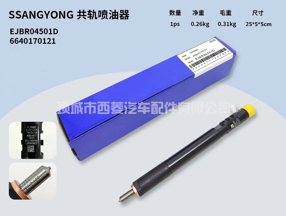 Common Rail Injector EJBR04501D