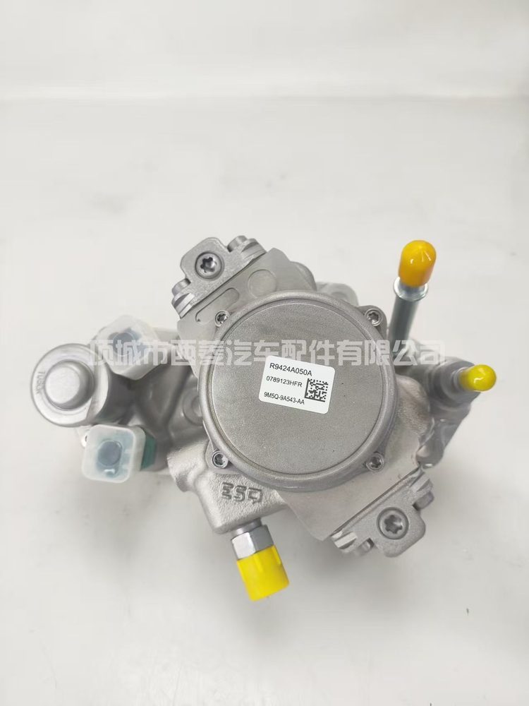 Fuel Injection Pump R9424A050A